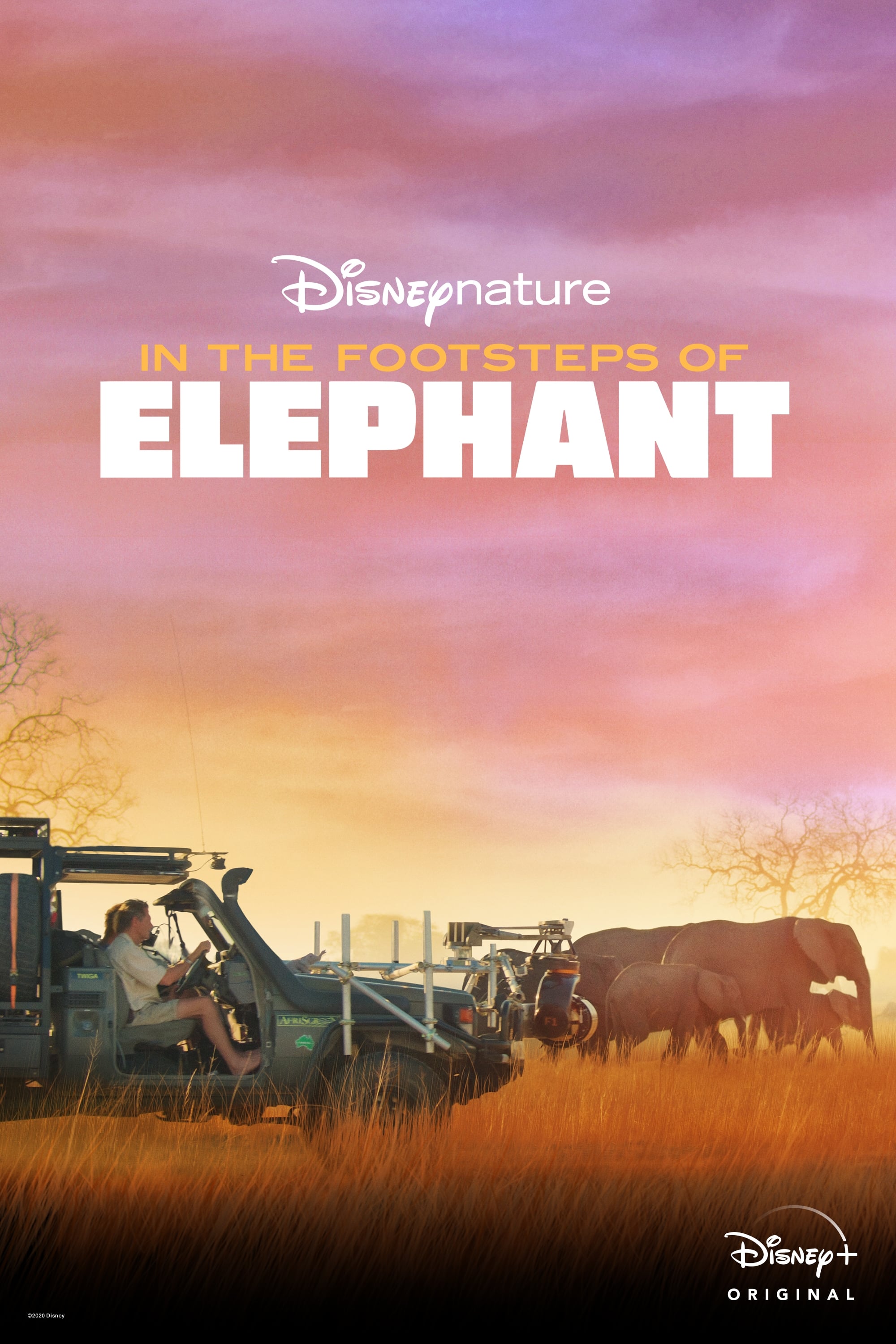 Постер In the Footsteps of Elephant